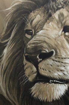 FrostedBirch Wallpaper